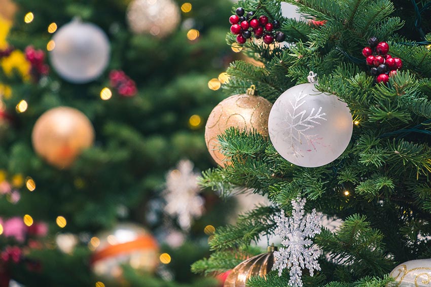 Vianočné ozdoby zavesené na vetvičkách ihličnatého stromčeka