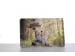 ALU fotografia 13x18 cm ALU fotografia 13x18 cm