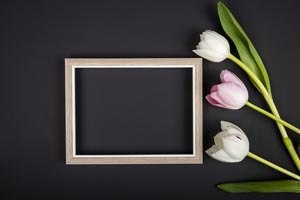 prázdny fotorámik a tulipány na čiernom pozadí